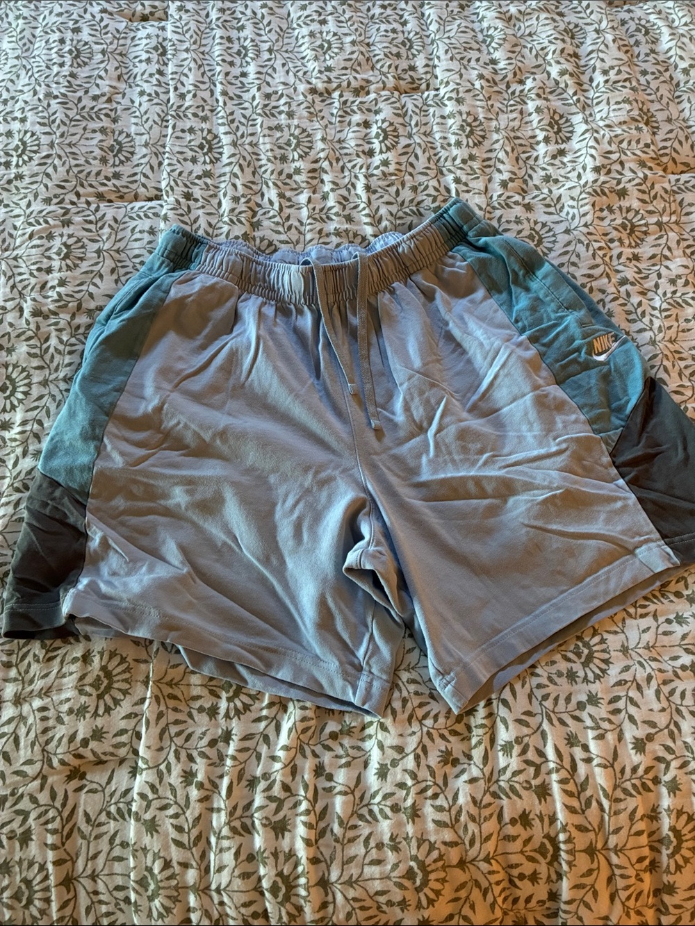 Nike Men’s Light Blue & Teal Athletic Shorts
